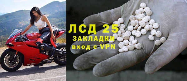 дмт Бородино
