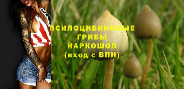 a pvp Ростов