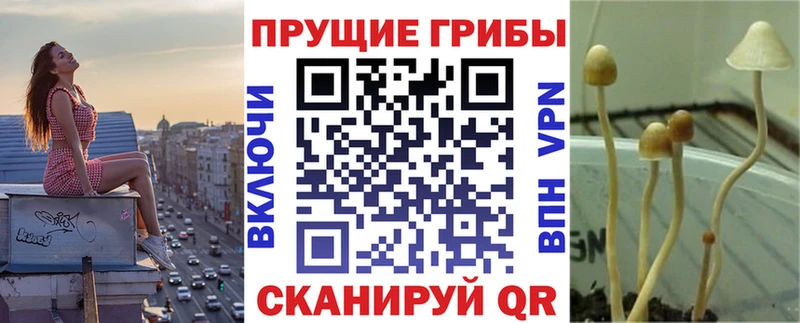 Галлюциногенные грибы Magic Shrooms  Анадырь 